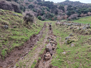 Old Le Bons Bay Track | Canterbury 4WD Tracks